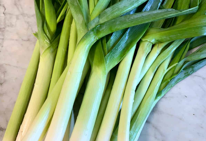 10 Types of Leeks and Their Origin - Mississippi Greens