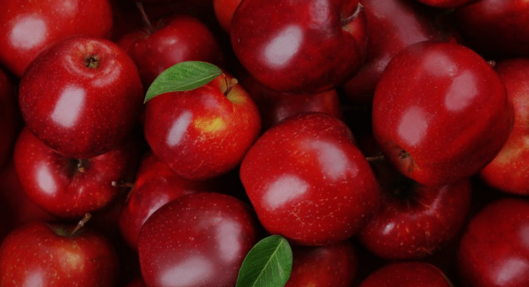 28-types-of-red-apple-varieties-identification-with-pictures